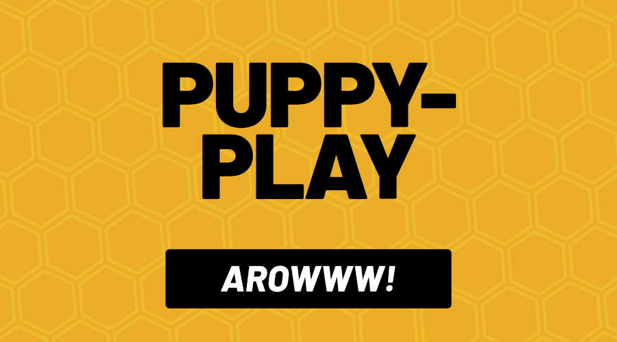 Kategorie Puppy-Play