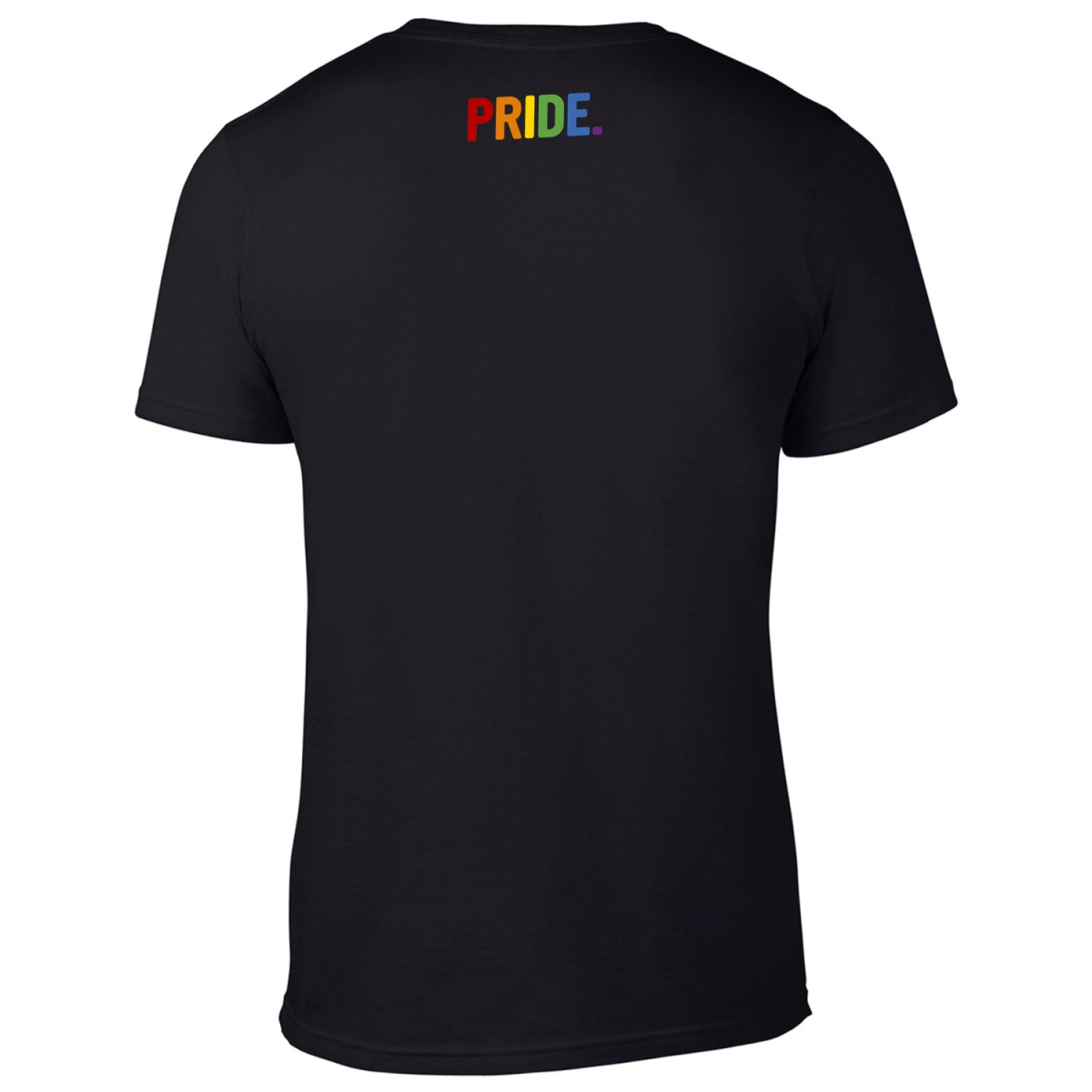 BENSWILD - T-SHIRT I PRIDE. I Front-Print I schwarz XL