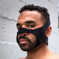 MR. S LEATHER - Puppy-Play Head-Harness I Open Chin I...