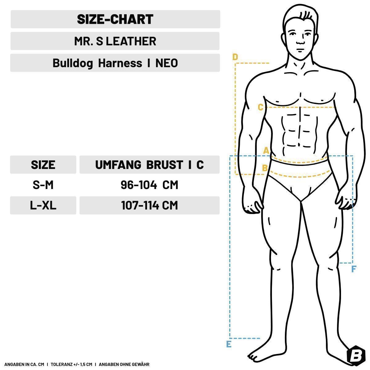 MR. S LEATHER - Neopren Harness I  Neo Bold Color Bulldog I navy-schwarz I