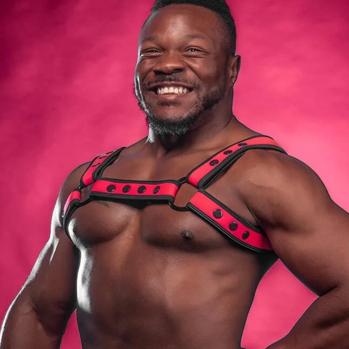 MR. S LEATHER - Neopren Harness I  Neo Bold Color Bulldog I pink-schwarz I