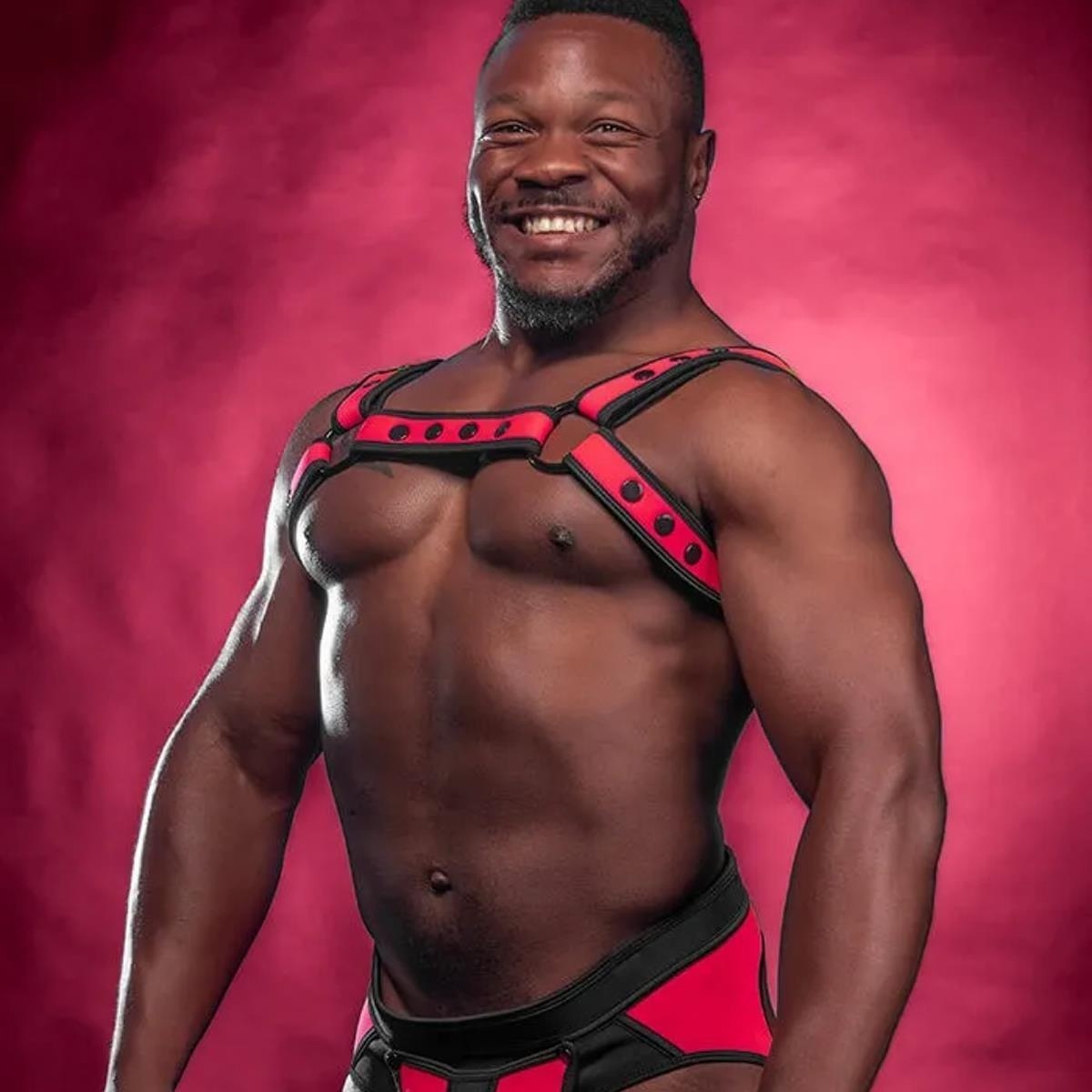 MR. S LEATHER - Neopren Harness I  Neo Bold Color Bulldog I pink-schwarz I