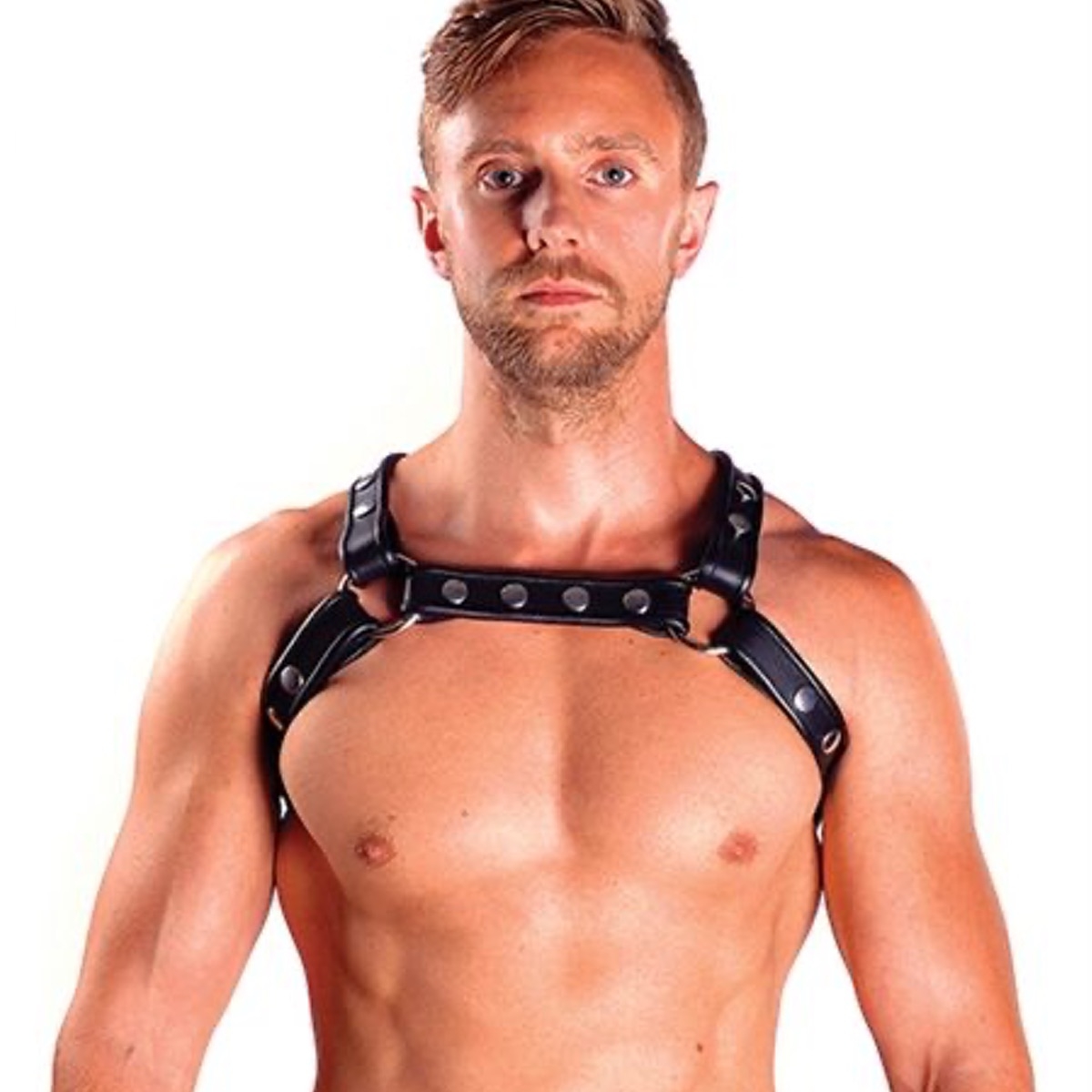 MISTER B - Leather Harness I X-Back I schwarz I