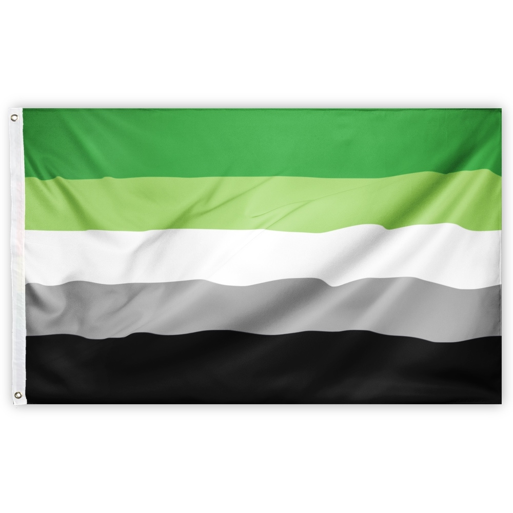 PRIDE-Flagge I Aromantisch I 90 x 150-cm